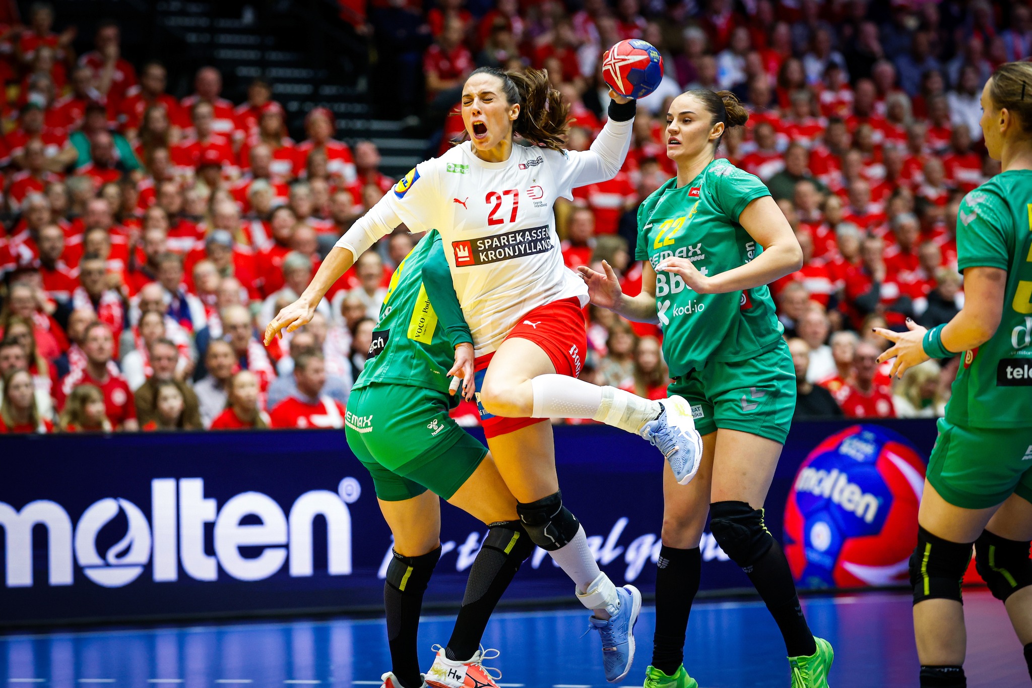 IHF Women's World Championship 2023, Info about Herning, Denmark